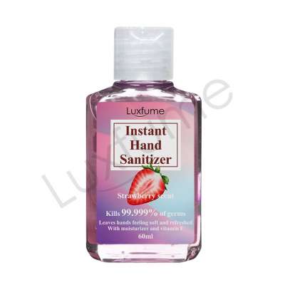 Fast Shipping 60ML Hand Sanitizer Portable Hand Wash Disinfecting Cleanser Stock